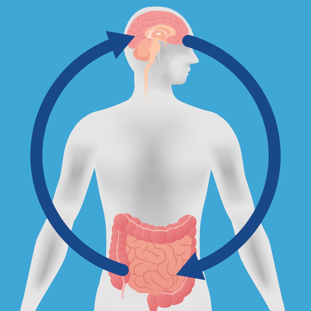 FrieslandCampina promotes gut-muscle-axis ingredient for athletes: 2023 SupplySide West Preview