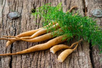 Image | adobe.stock/Kiran