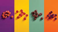 TopGum Launches Cognition and Vision Gummy Line