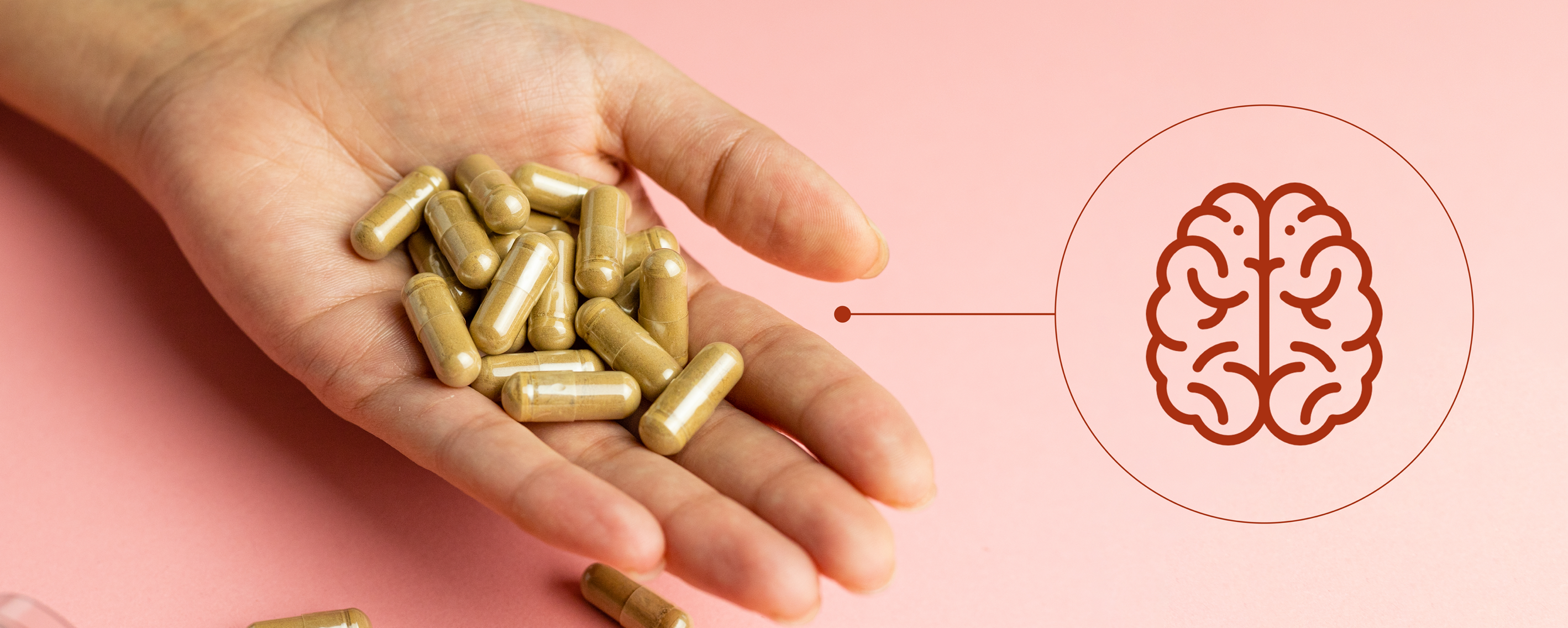 Botanical nootropics and how they’re shaping the future of cognitive health innovation Botanical nootropics and how they’re shaping the future of cognitive health innovation