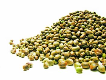 Photo © iStockphoto.com/Wolfgang Lienbacher