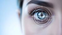 A New Frontier in Eye Health: Digital Wellness, Bioavailability, and the Eye-Brain Connection