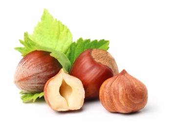 Who grows hazelnuts?