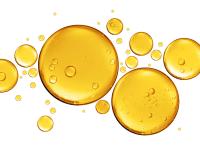 GC Rieber VivoMega Introduces High-Concentration 90% TG Premium Fish Oil
