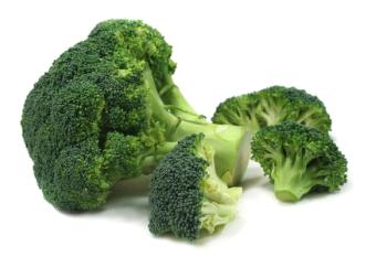 broccoli florets on white background