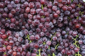 Bionap announces self-affirmed GRAS status for its Cognigrape ingredient