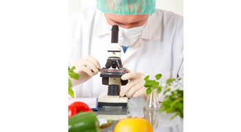 Photo © iStockphoto.com/humonia