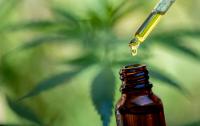 Missouri Hemp Businesses Sue to Block HB 2641 Ahead of November Effective Date