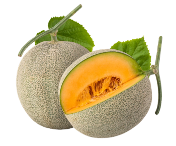 cantaloupe