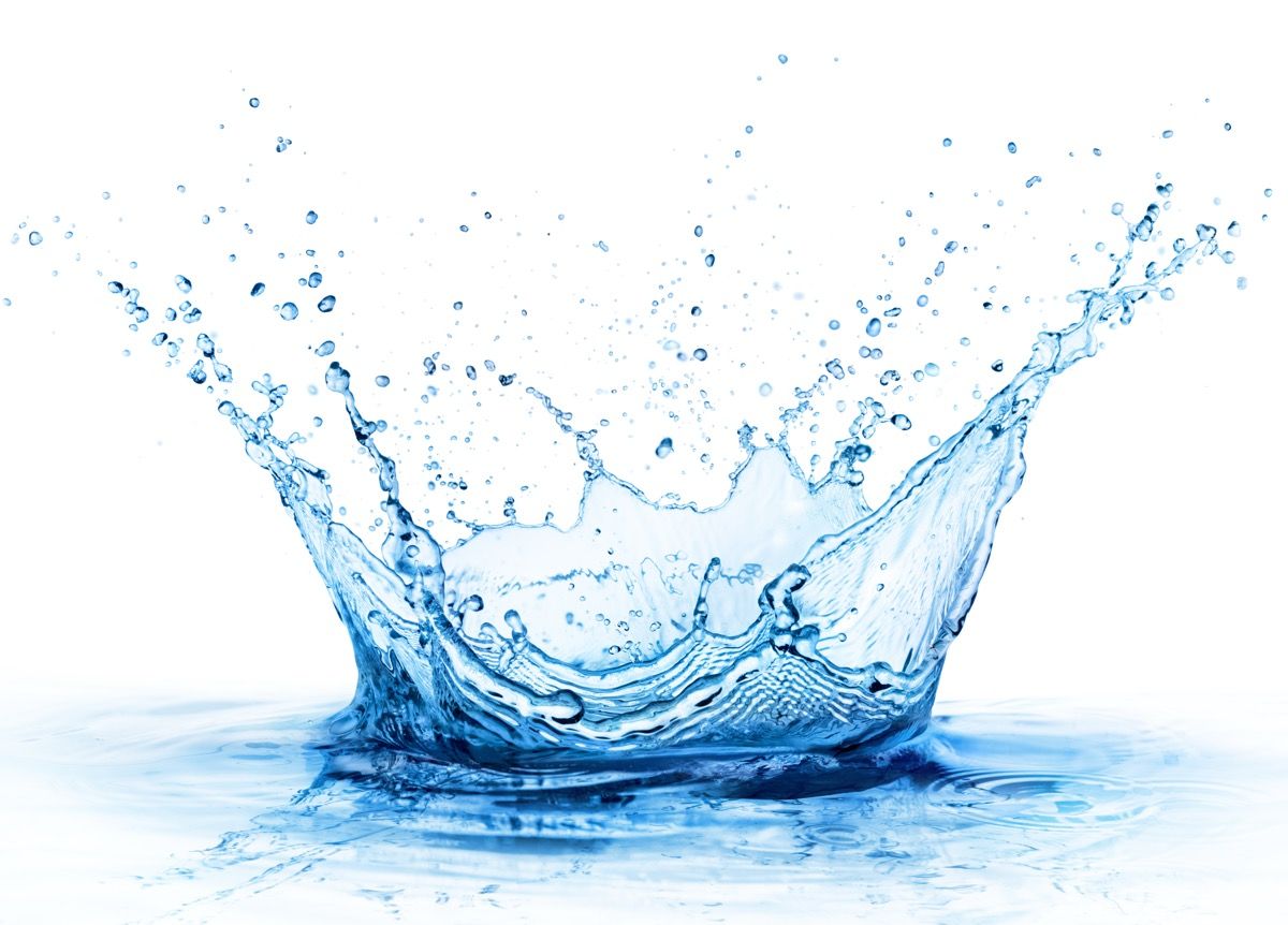 PharmaLinea Adds Creatine, Collagen to Sugar-Free Hydration Line