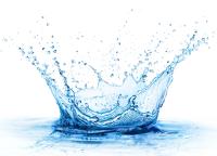 PharmaLinea Adds Creatine, Collagen to Sugar-Free Hydration Line