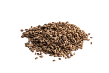 celery seed