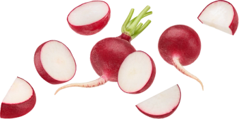 radish cut into pieces
