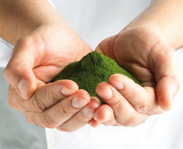 SuanNutra USA Secures US Distribution Rights for TetraSOD Marine Bioactive