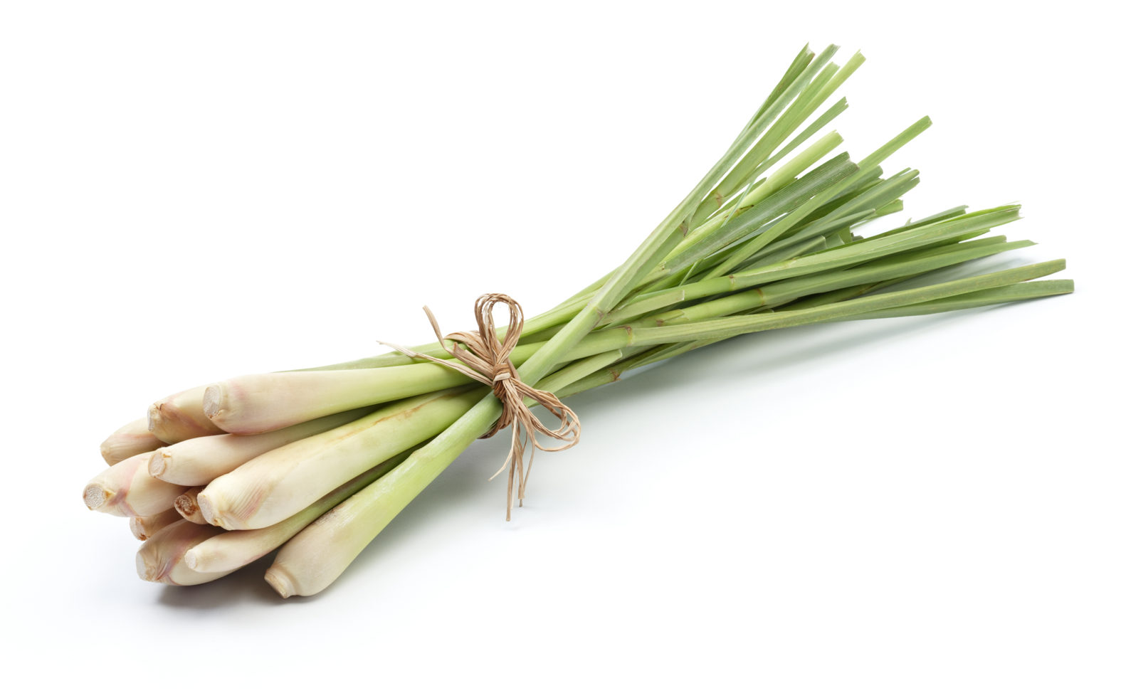 Lemongrass antiseptic