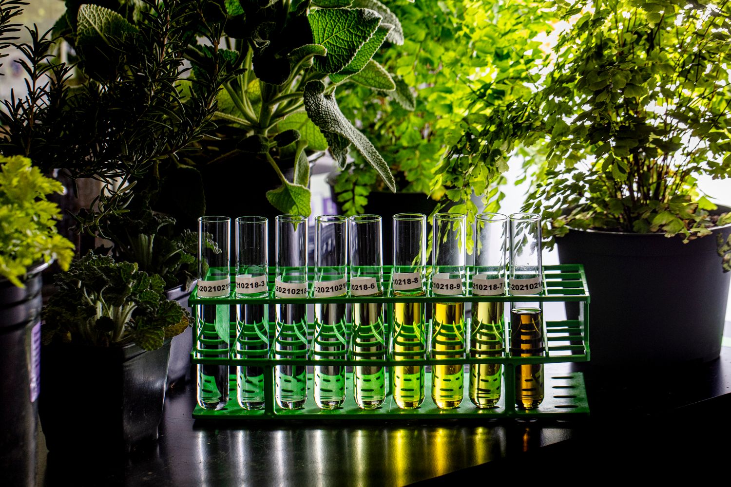 Nutritional Outlook’s 2022 Best of the Industry Awards, Industry Leader: Brightseed