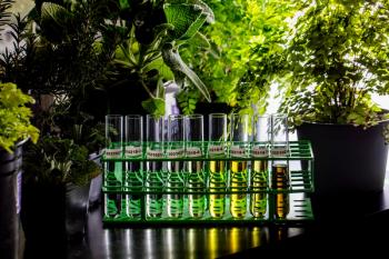 Nutritional Outlook’s 2022 Best of the Industry Awards, Industry Leader: Brightseed