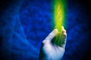 Next-Generation DNA Testing for Botanicals