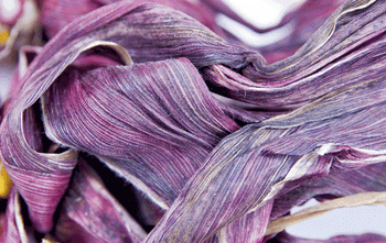 Photo © iStockphoto.com/Joan Kimball