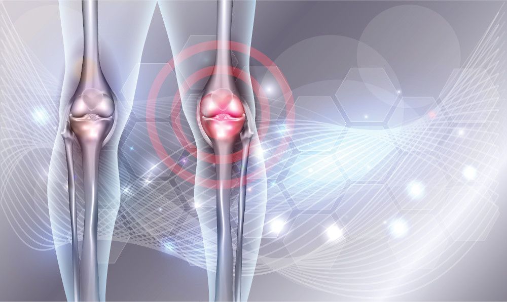 Bioiberica’s Mobilee hyaluronic acid shows bioavailability, efficacy for joint health in new study to be shared at Vitafoods 2021