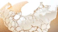 What the Clinical Evidence Shows for Eggshell Membrane as a Nutraceutical Ingredient