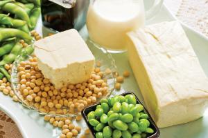 Ingredient Spotlight: Soy Protein