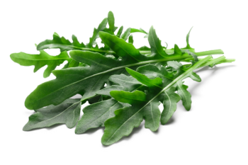 arugula