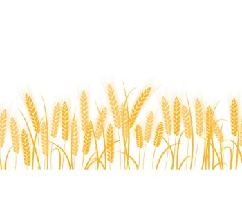 Specialty grains, such as ancient and heirloom grains, offer formulation advantages to food manufacturers for foods like beverages.