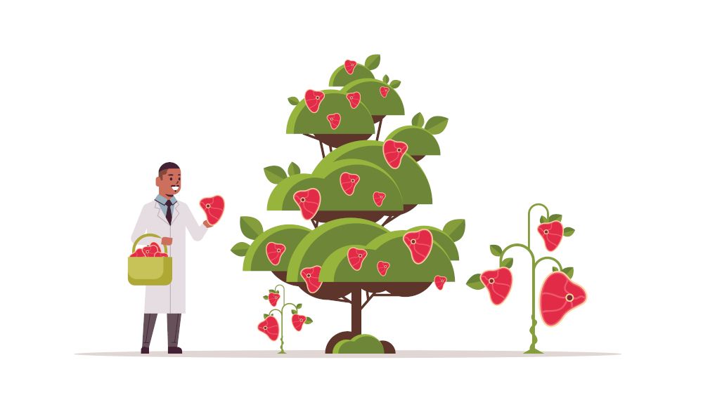 Plant Protein: Success is driven by ingredient innovation, technology advances, and keen business strategies.