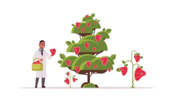 Plant Protein: Success is driven by ingredient innovation, technology advances, and keen business strategies.