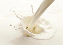 FrieslandCampina Ingredients launches plant-derived LCPUFA infant milk formula ingredients 