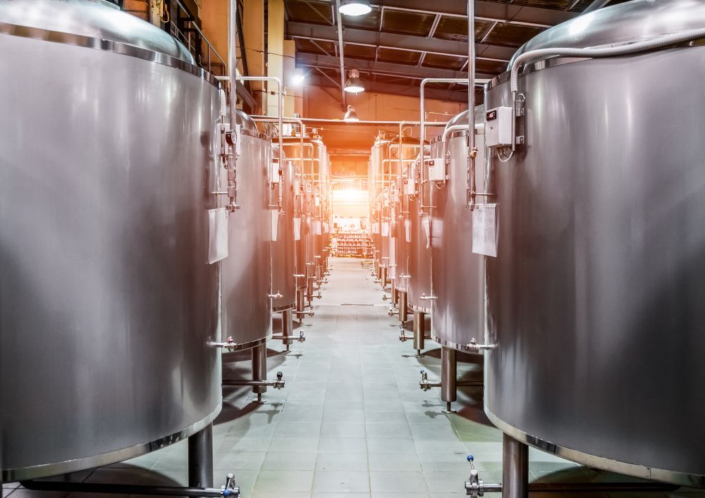 How fermentation is changing the wellness and nutrition market How fermentation is changing the wellness and nutrition market
