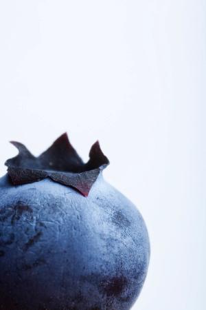 Dietary Supplement Antioxidants: The Polyphenol Paradox