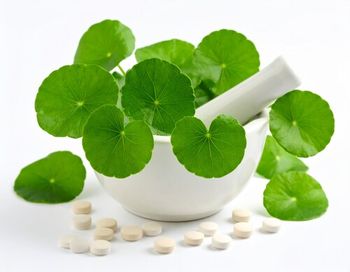 Image Courtesy of 3H Labs