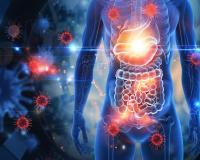 When Worlds Collide: Gut-Immune Axis Gaining Attention as Daily Wellness and Immune Support Converge