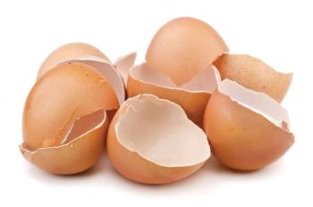 Photo © iStockphoto.com/Coprid