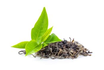 Layn Natural Ingredients stresses steady supply of new antioxidant, tea extracts, at SupplySide West 2021