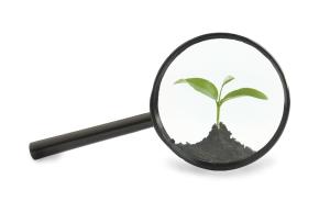 Economic adulteration and the need for carbon-14 testing in the natural products industry