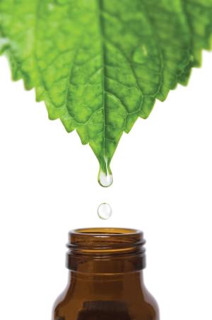 Supercritical fluid’s evolving role in dietary ingredients extraction