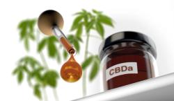 Joining the entourage: Is CBDA a hot prospect, or just too unstable to succeed?
