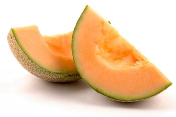 melon belongs to the cucurbit family of plants, or gourd family