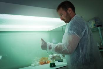 IFF-Dupont, SimpliiGood to create plant-based smoked salmon 