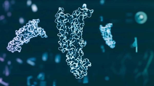 Supporting GLP-1, naturally