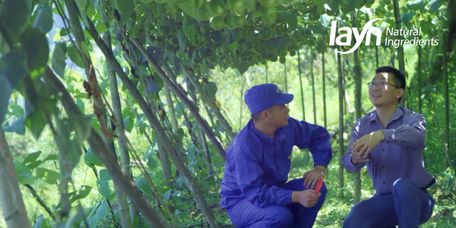 Image Courtesy of Layn Natural Ingredients
