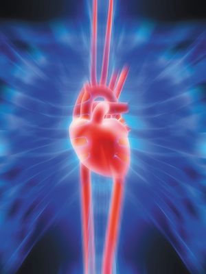 Astaxanthin Is a Heart-Health Ingredient with Growing Science