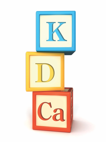children's blocks, labeled with K, D, and Ca