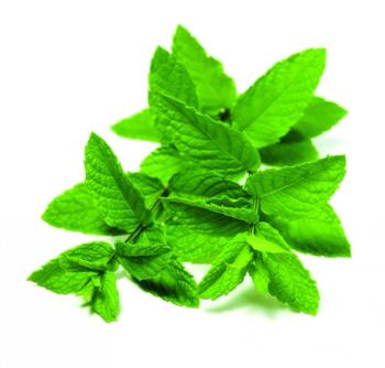 Photo © iStockphoto.com/dirkr