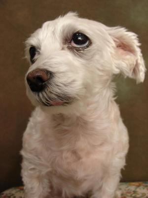 In Response: A New Era for Animal Nutrition