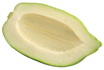 unripe papaya