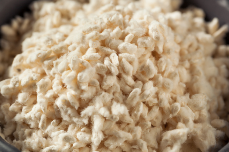 koji culture